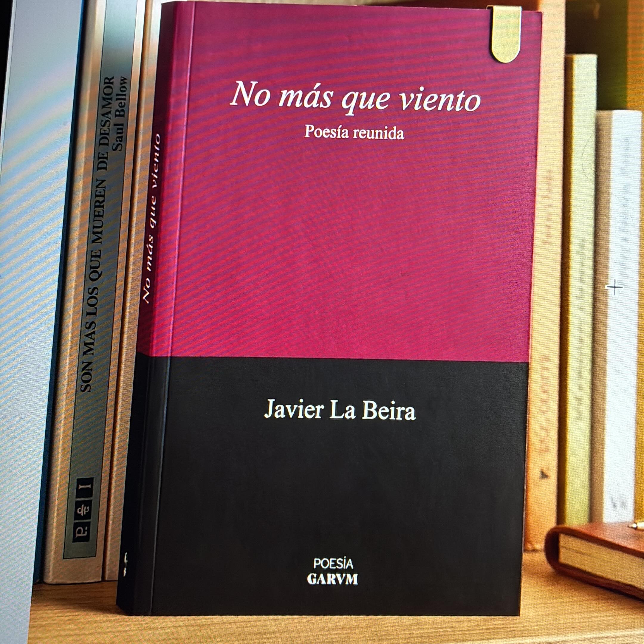 ¿Puede el demonio tentador de Flaubert convertirse en Rilke con un solo verso reescrito? Javier La Beira lo consigue en No más que viento (GARUM, 2025), su poesía reunida: irónica, culta, sensual y profundamente humana. Un libro que demuestra que la transitoriedad también merece ser celebrada. Reseña en el blog. 🔗 en bio.